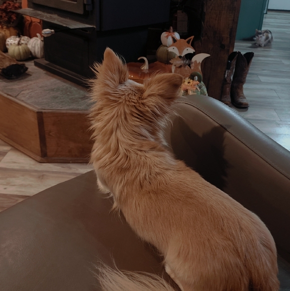 Meet Your Posher | Payton - Picture 3 of 4